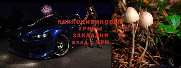 хмурый Магас