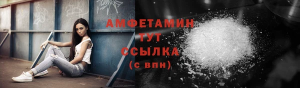 хмурый Магас