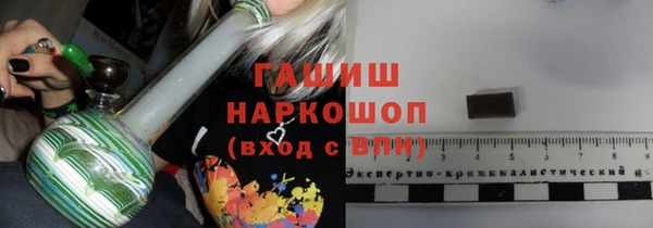 хмурый Магас
