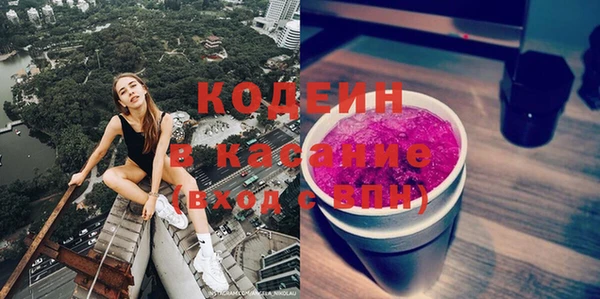 хмурый Магас