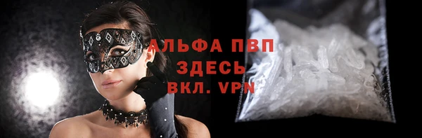 хмурый Магас