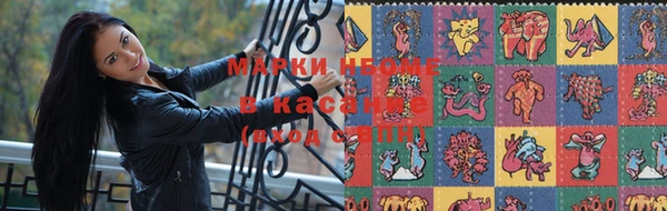 хмурый Магас