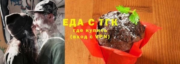 хмурый Магас