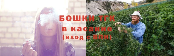 хмурый Магас